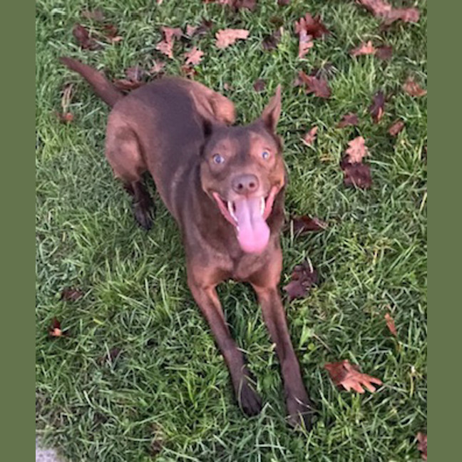 Photo of Pippa