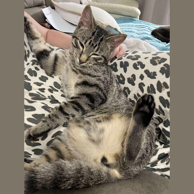 Photo of Jett