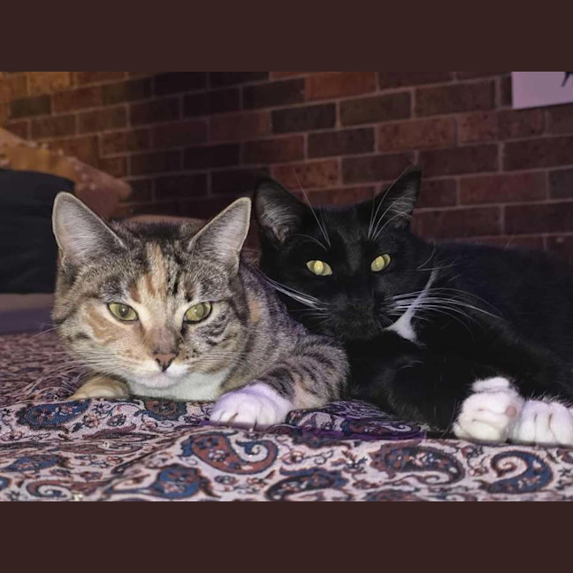 Photo of Lotus & Sage