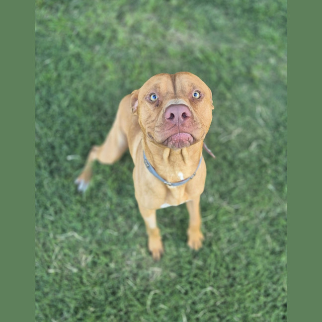 Photo of Barney