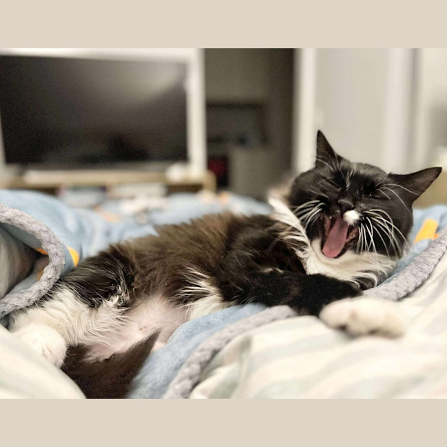 Photo of Jasmine