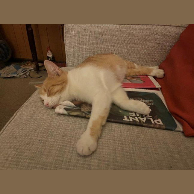 Photo of Olivia O'cleary