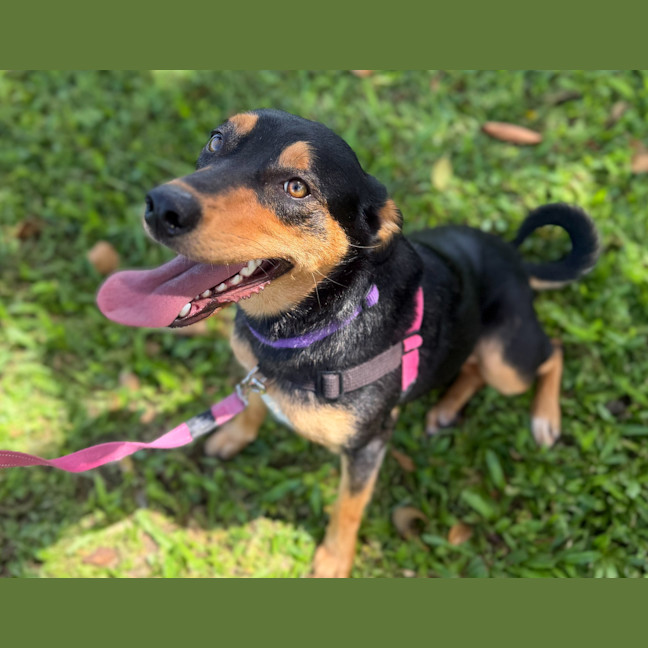 Photo of Kiki