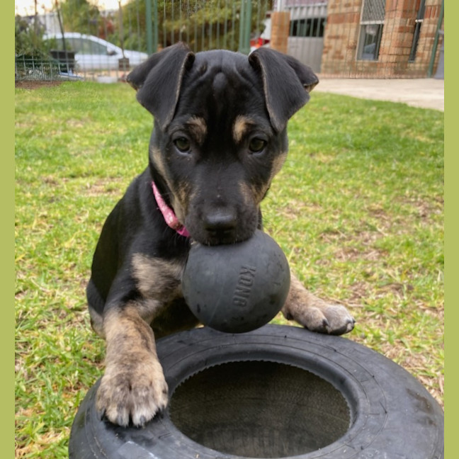 Photo of Princess Fiona