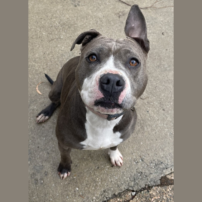 Photo of Tilly