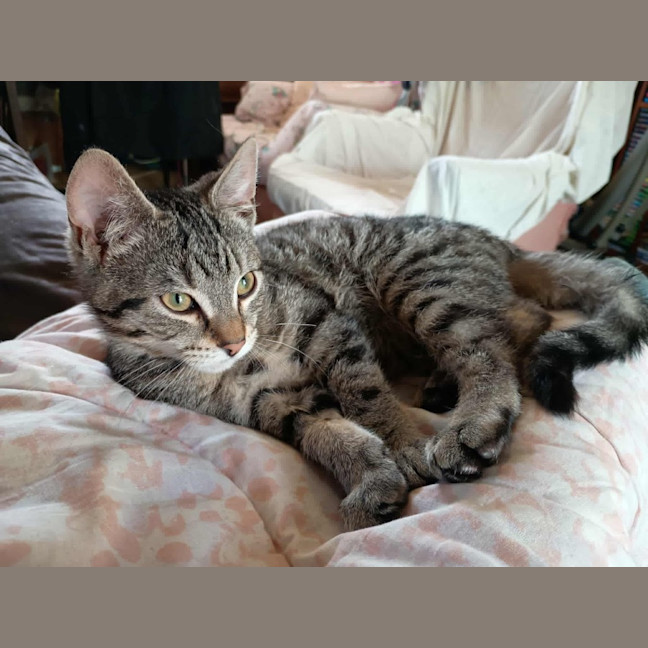 Photo of Mr Pantaloons