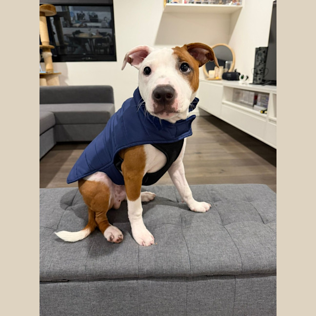 Photo of Cookie Oliver