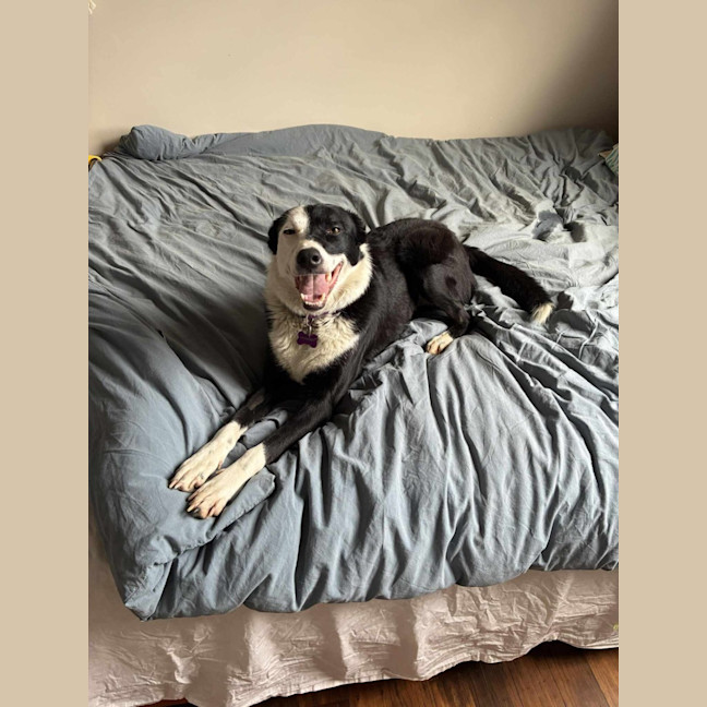 Photo of Lucy 