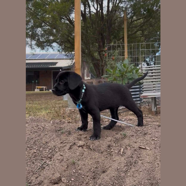 Photo of Tank