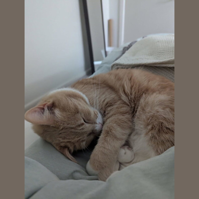 Photo of Peaches