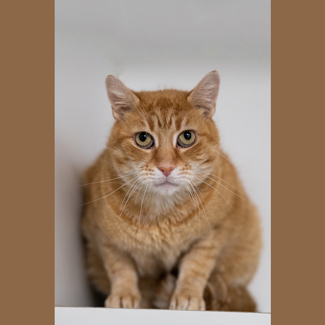 Photo of Geoffrey