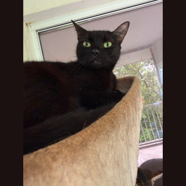 Photo of Tabitha