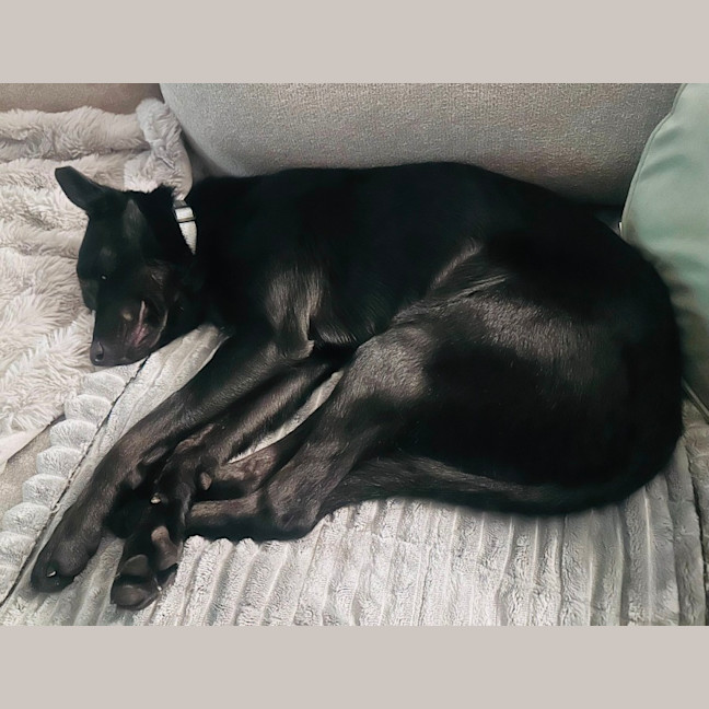 Photo of Mitchito