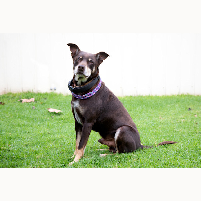 Photo of Monty