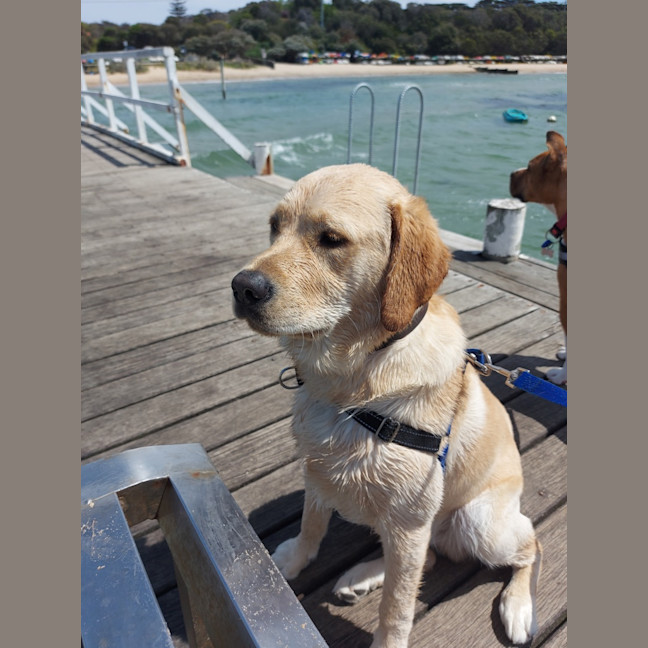 Photo of Jeffrey 'Good Boy' Jones