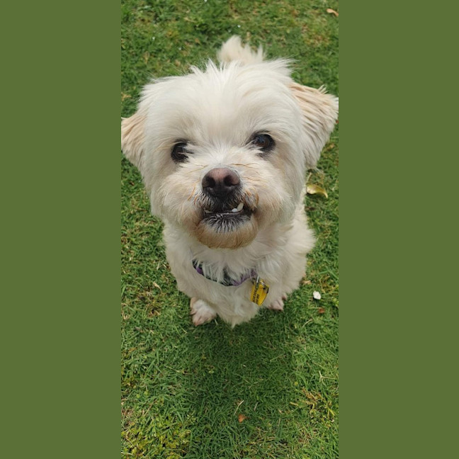Photo of Roxy