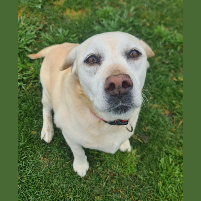 Photo of Lucy