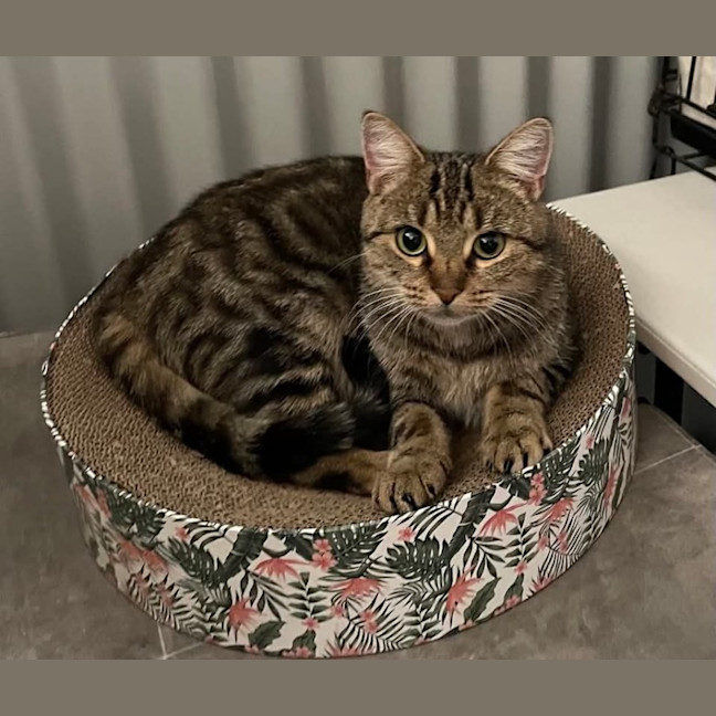 Photo of Lady Sutherland