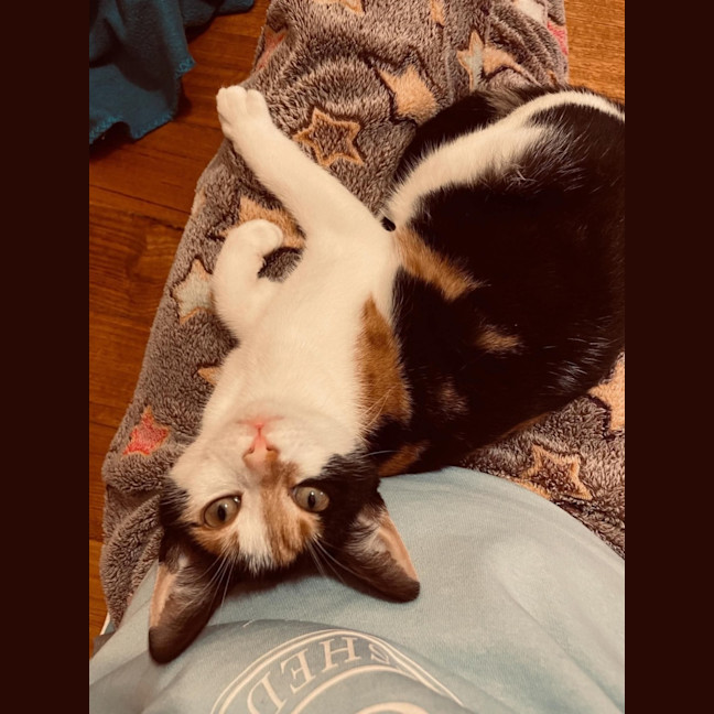 Photo of Rosie & Rudy 