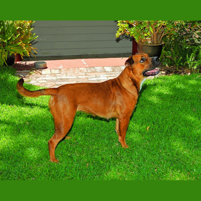 Photo of Princess (Prinny)