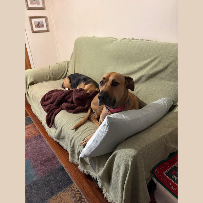 Photo of Romeo