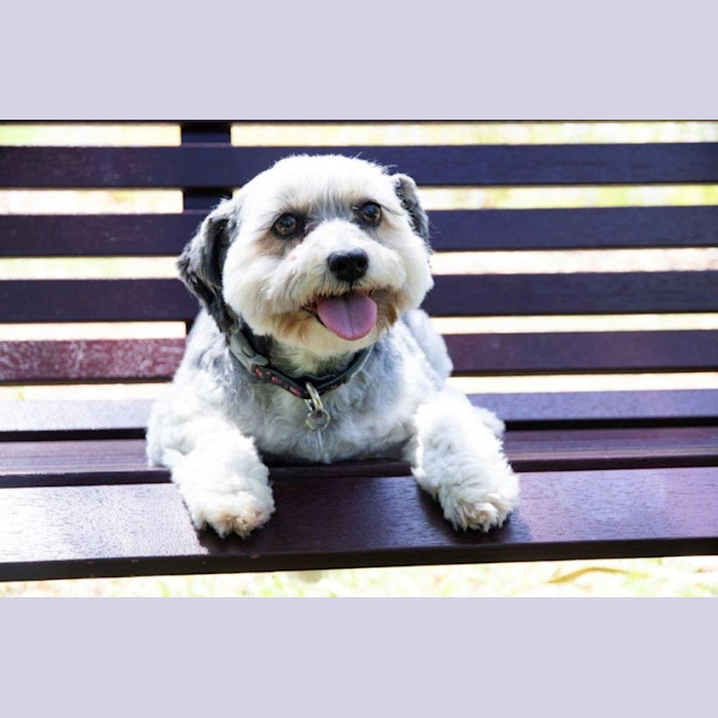 Photo of Lulu Lozano