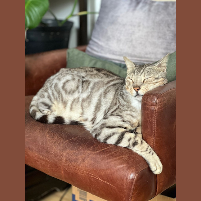 Photo of Marco