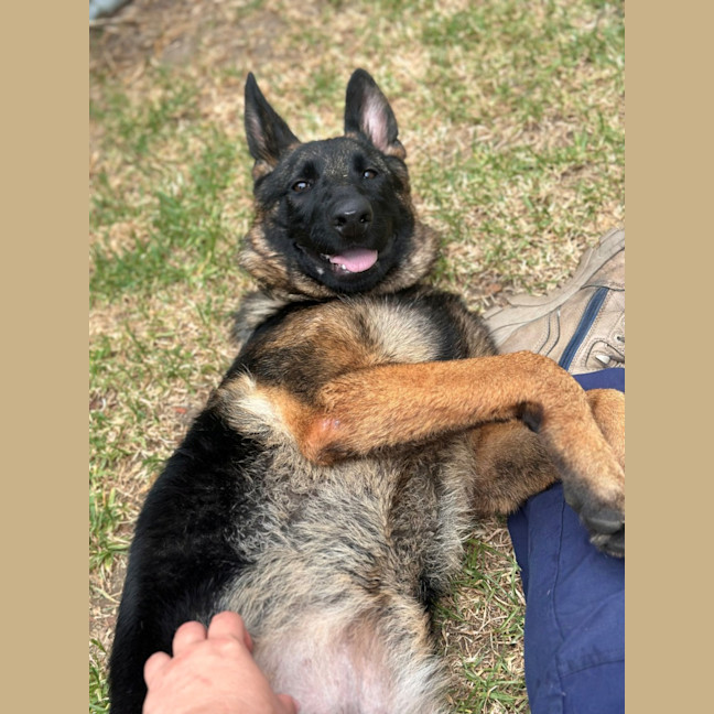 Photo of Abby