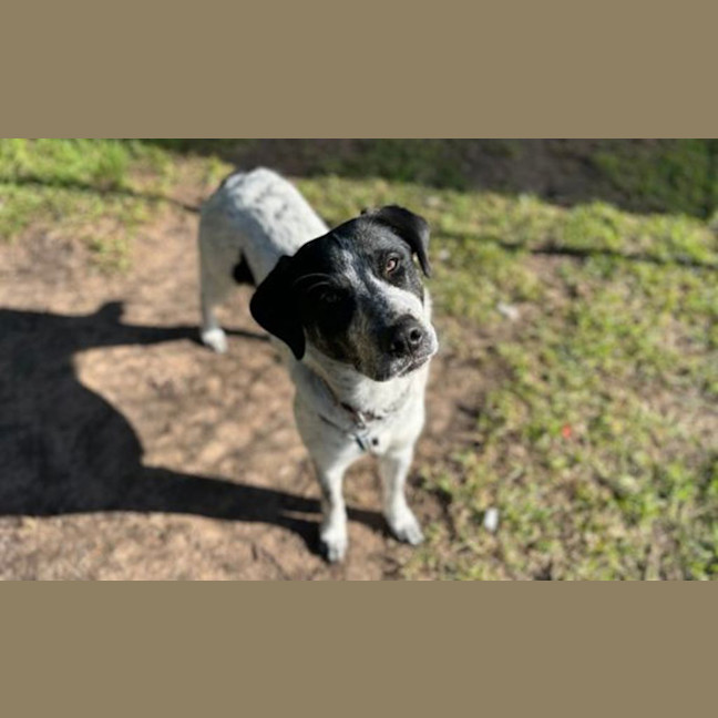 Photo of Delilah