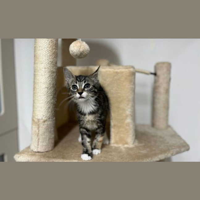 Photo of Polly