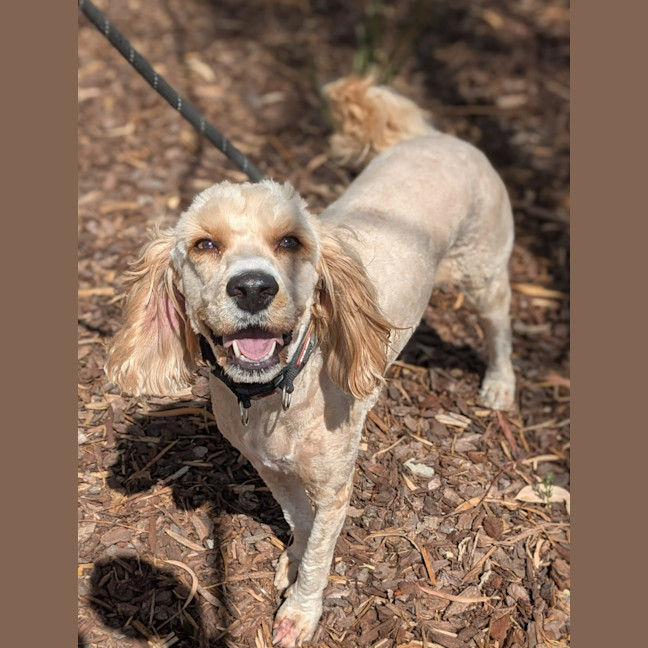 Photo of 🐝 Charlie 6852 🐝