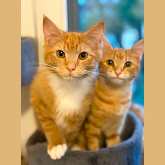 Photo of Flora And Sunny