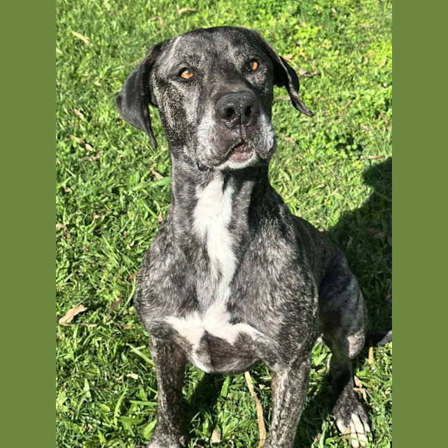 Photo of Coco & Rome 