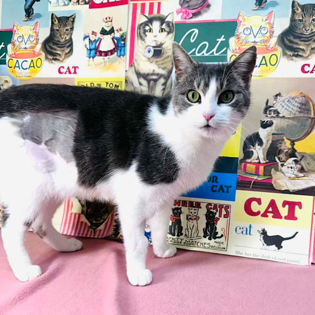 Photo of Callee   Located In Preston