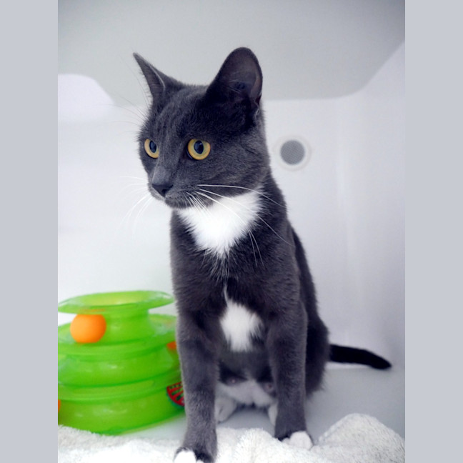 Photo of Zoe Rsta014520