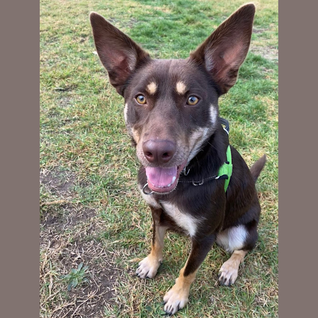 Photo of Lenny