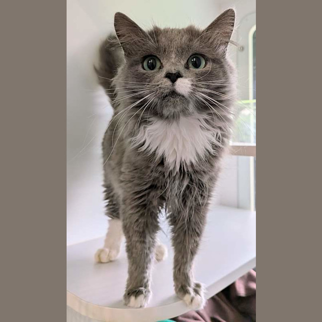 Photo of Alley