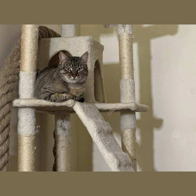 Photo of Aster Uffelman