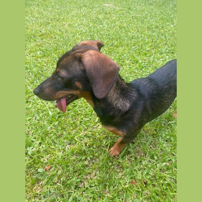 Photo of Holly