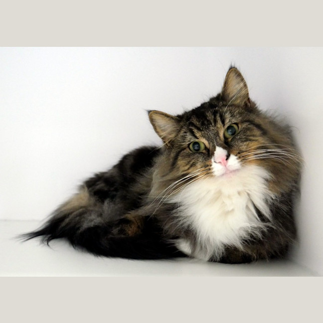 Photo of Benji Sua013006