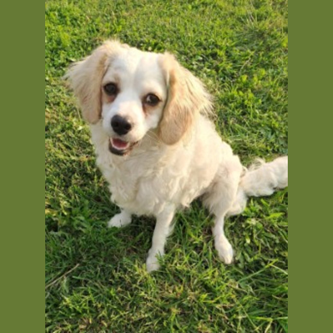 Photo of Mabel 