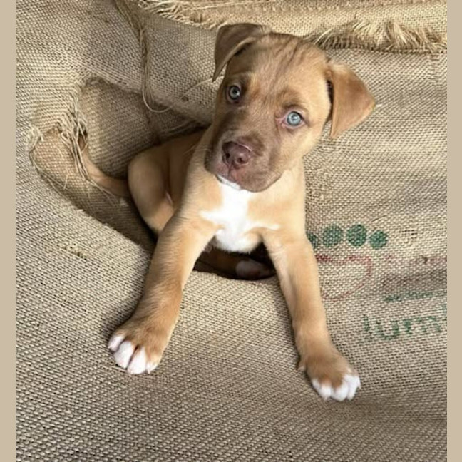 Photo of Luka