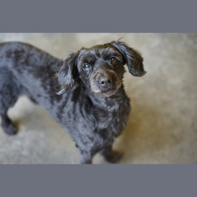 Photo of Lizzy