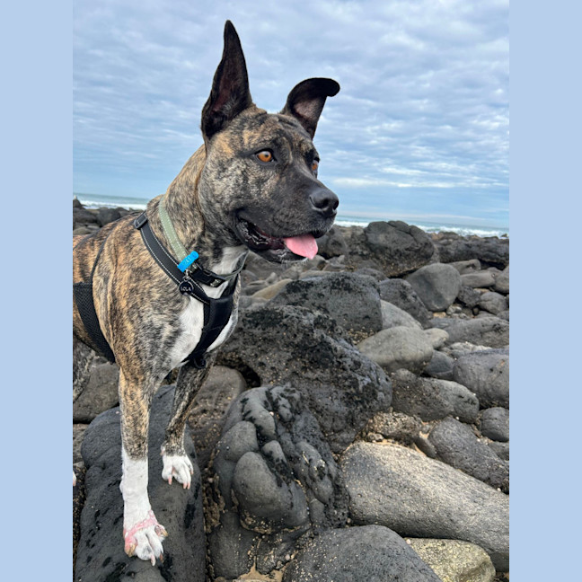 Photo of Lola