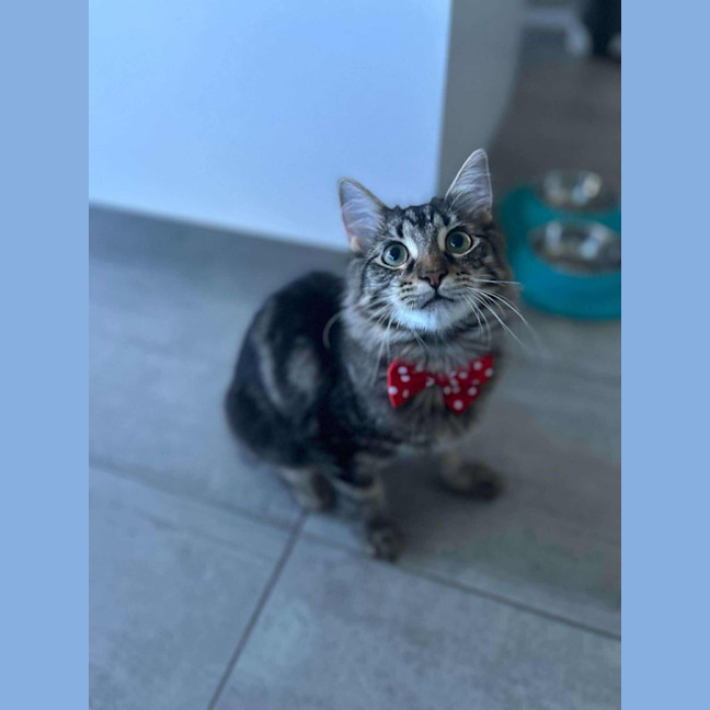 Photo of Shiraz & Cognac🍹