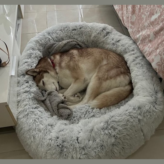 Photo of Milo