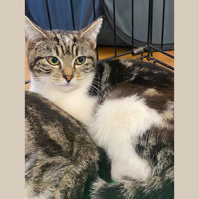 Photo of Jemima