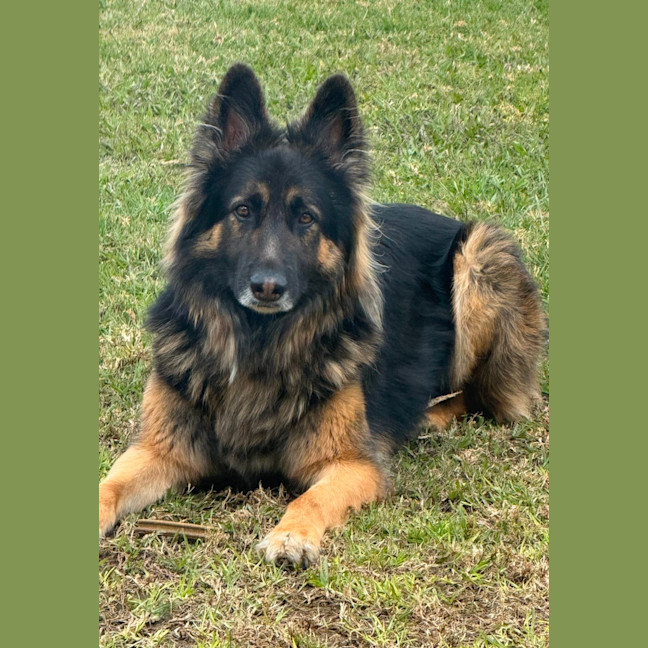 Photo of Kai