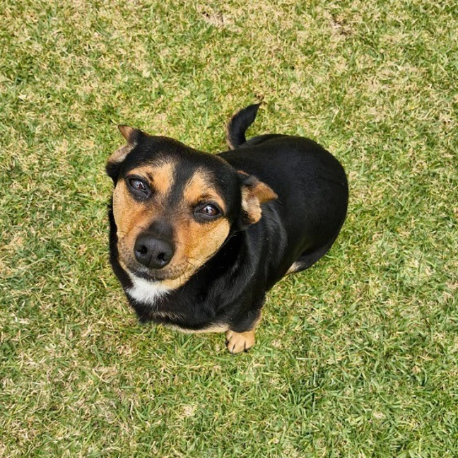 Photo of Kadie