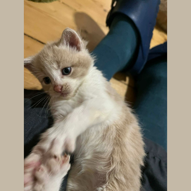 Photo of Rupert